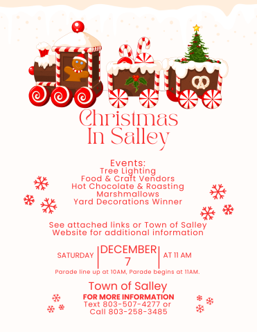 Christmas In Salley